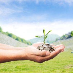 Growing your money