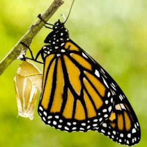 7 secrets of writing that changes lives
