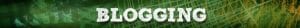 blogging