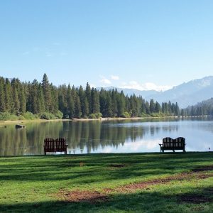 writing residencies