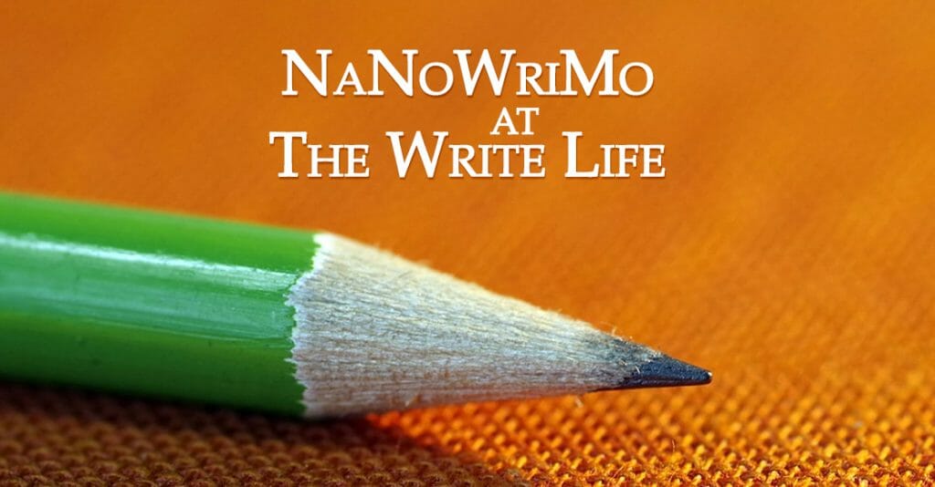 5 Ways This First-Timer Prepared for National Novel Writing Month
