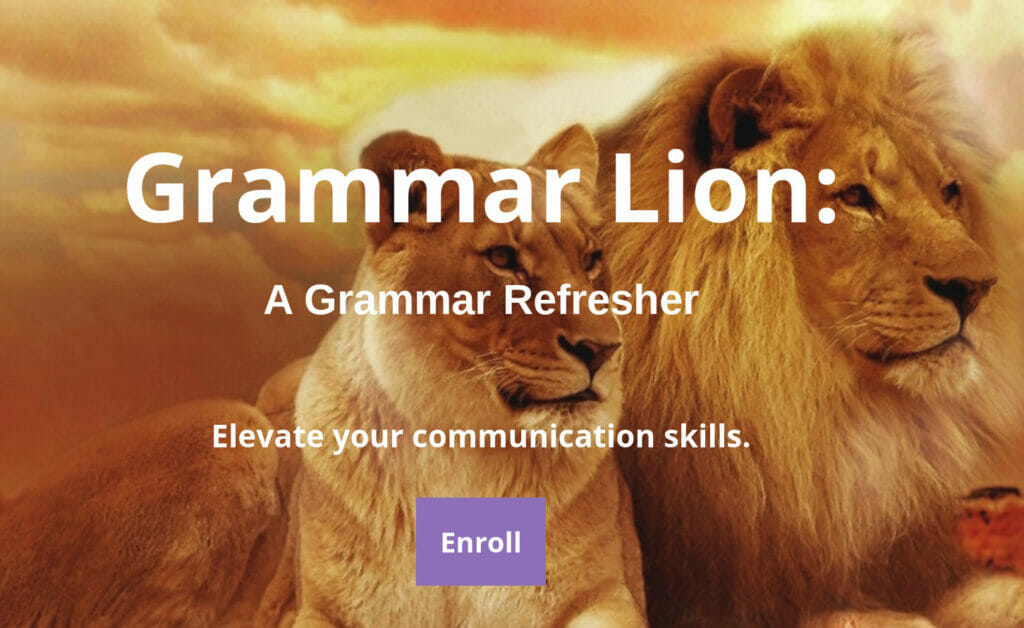 Lion image behind A Grammar Refresher