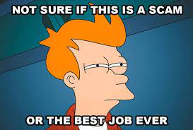 Meme of Futurama character Phillip J. Fry making a suspicious face. The text says "Not sure if this is a scam or the best job ever." This is to illustrate the article IAPWE Review